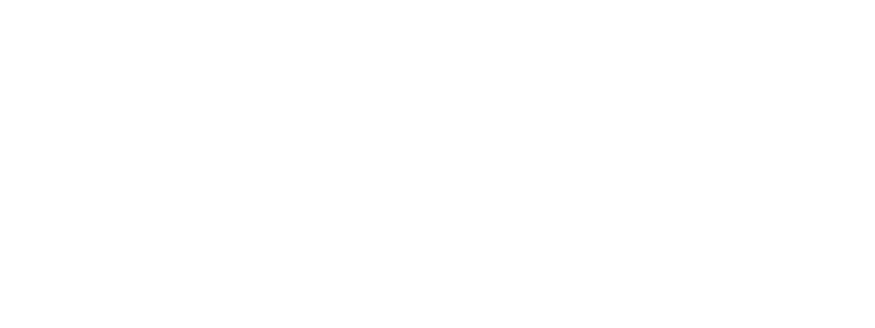 Original Ride FLX Logo